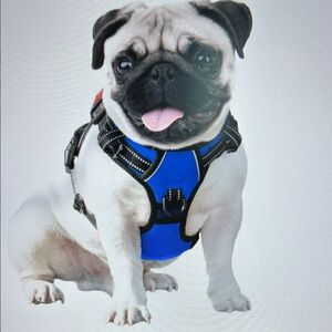 No Pull Dog Harness - Medium, Royal Blue